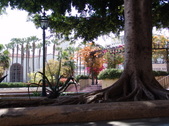 Enlarge photo 80