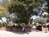 Enlarge photo 83