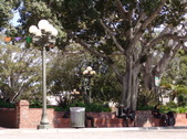 Enlarge photo 90