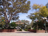 Enlarge photo 96