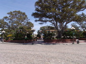 Enlarge photo 125