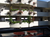 Enlarge photo 37