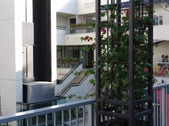 Enlarge photo 42