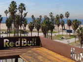 Enlarge photo 41