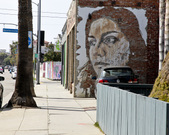 Enlarge photo 41