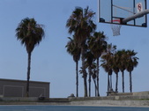Enlarge photo 43