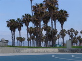 Enlarge photo 63