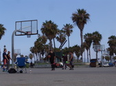 Enlarge photo 107