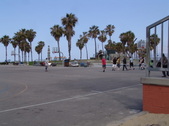 Enlarge photo 113