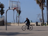 Enlarge photo 135