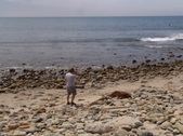 Enlarge photo 23