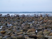 Enlarge photo 39