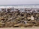 Enlarge photo 41