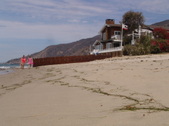 Enlarge photo 46