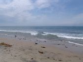 Enlarge photo 58