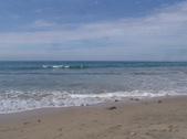 Enlarge photo 59