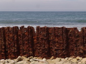 Enlarge photo 68