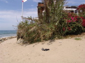 Enlarge photo 72
