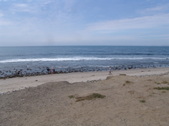 Enlarge photo 75
