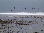 Enlarge photo 84