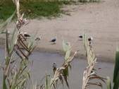 Enlarge photo 86