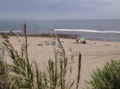 Enlarge photo 87