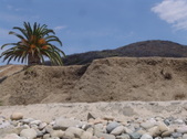 Enlarge photo 94