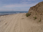 Enlarge photo 95