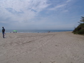 Enlarge photo 99