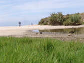 Enlarge photo 103