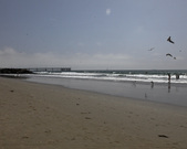 Enlarge photo 25