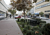 Enlarge photo 51