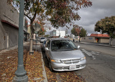 Enlarge photo 60