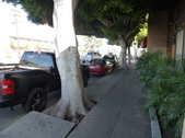 Enlarge photo 27