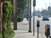 Enlarge photo 42