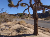 Enlarge photo 29