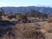 Enlarge photo 45