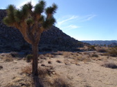 Enlarge photo 46