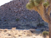 Enlarge photo 47