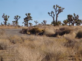 Enlarge photo 49
