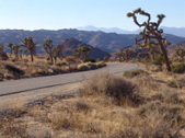 Enlarge photo 51