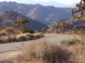 Enlarge photo 52