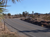 Enlarge photo 57