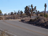 Enlarge photo 58