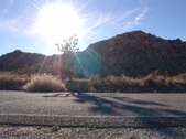 Enlarge photo 59