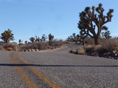 Enlarge photo 61