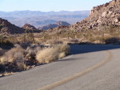 Enlarge photo 63