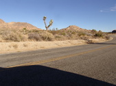 Enlarge photo 67