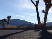 Enlarge photo 76