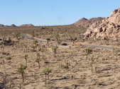 Enlarge photo 84